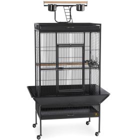 Large Select Wrought Iron Play Top Bird Cage - Coco Brown