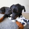 Steel Dog - Barnyard Buddy Cow