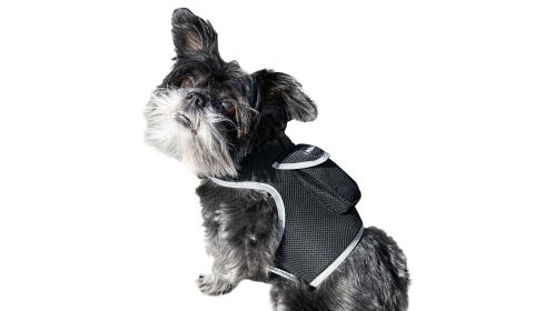Best Dog GPS Pet Locator - Pet Tracker GSM GPRS Waterproof Tracking Device Size:XS