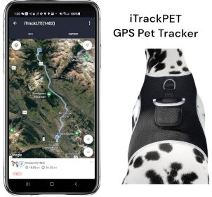 feGet Realtime Location Update w/ Pet Tracker GPS Tracking Collars for Dogs Size:M
