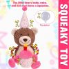 Birthday Dog Toys for Aggressive Chewers, Interactive Doggie Squeaky Toy with Cake H, Indestructible Plush Toys with Crinkle Paper