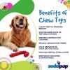 Candy Cane Nylon Dog Toy for Aggressive Chewers | USA Made | SodaPup