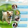Puppy Chew Toys, Indestructible Dog Toys for Aggressive Chewers - Small & Medium Breed, Durable Rubber Chew Bone Toy for Small Dogs