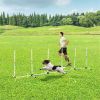 Dog Outdoor Exercise Training Set ( Amazon Shipping)(Prohibited by WalMart)