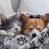 Premium Soft Dog Blanke  Large Dogs Washable