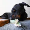 Steel Dog - Denim Perch