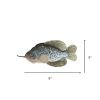 Steel Dog - Denim Crappie