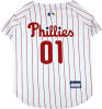 Texas Rangers Pet Jersey